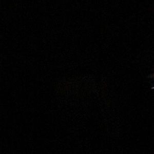 Meet your Posher, Halley